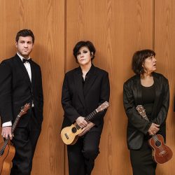 Ukulele-Orchestra-Slider