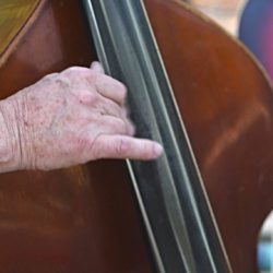 elderlybass