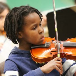 violin-720