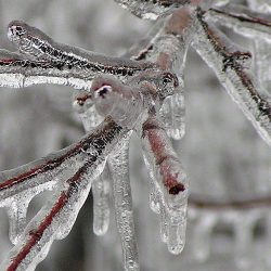 winter-weather